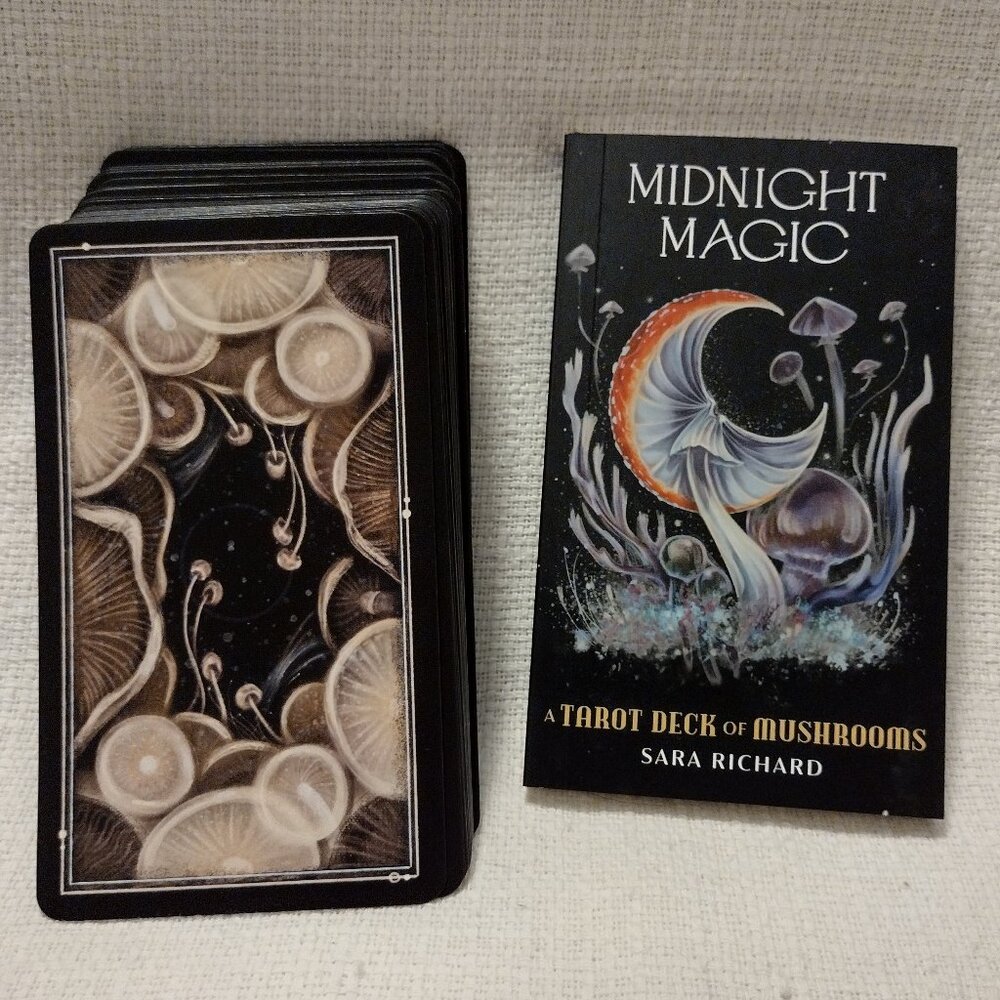 Midnight Magic - Picture 3 of 14